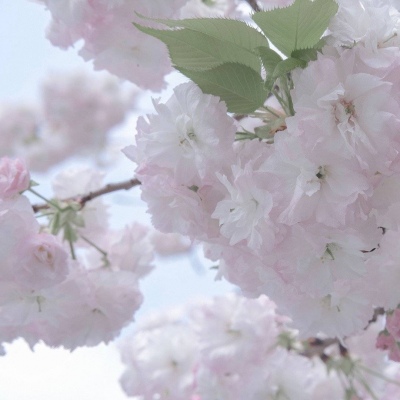 Furry插画创意构思思路福瑞交流群